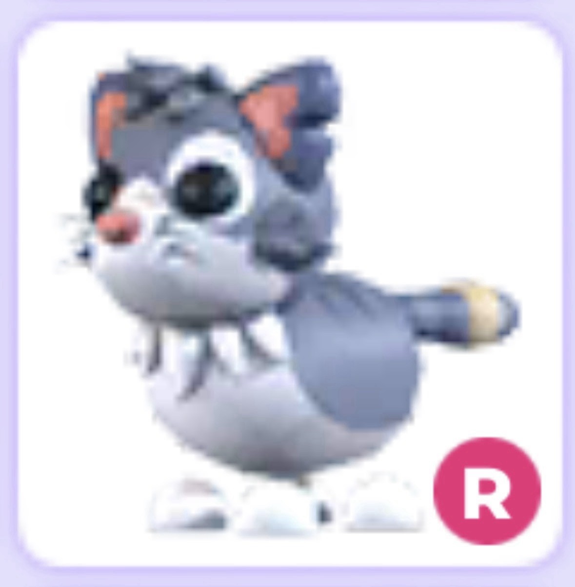 Ride R Alley Cat ❤️ Cheap ❤️ Adopt Me Pet