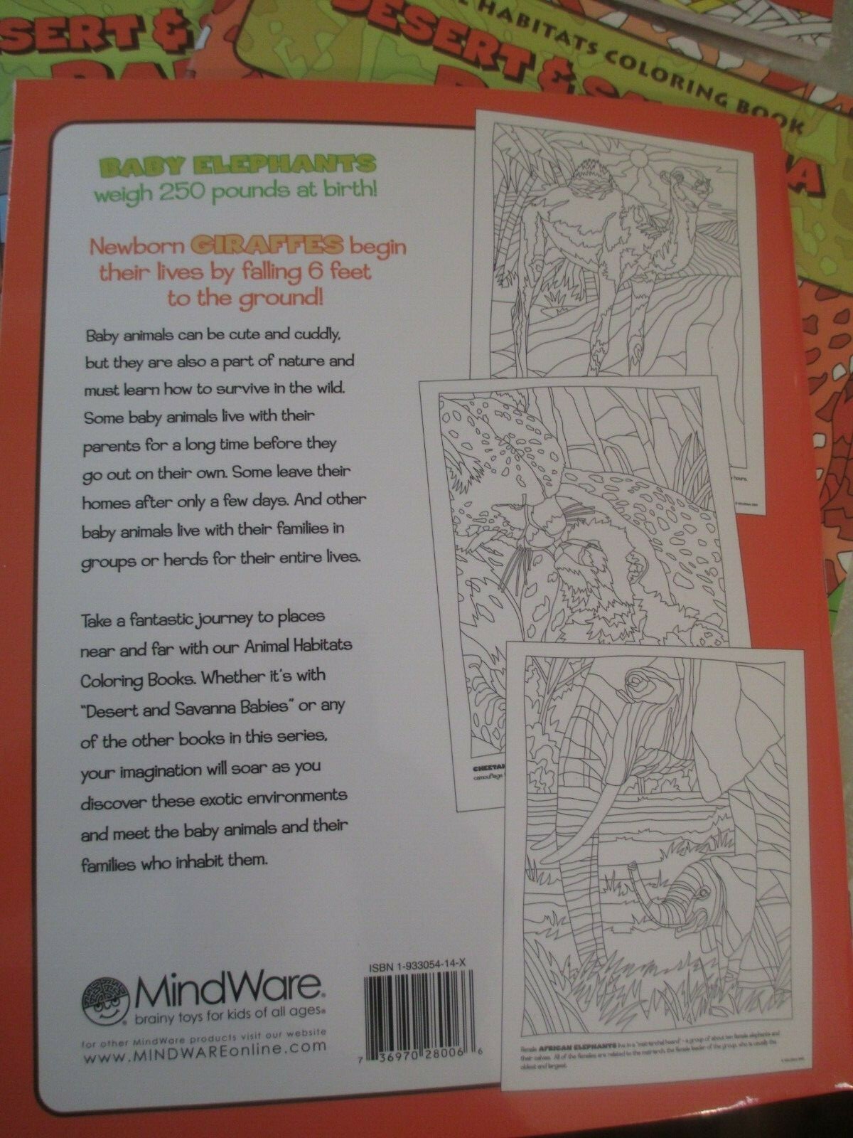New MINDWARE Brainy Toys lot of (14) Intermediate Coloring Books African Animals