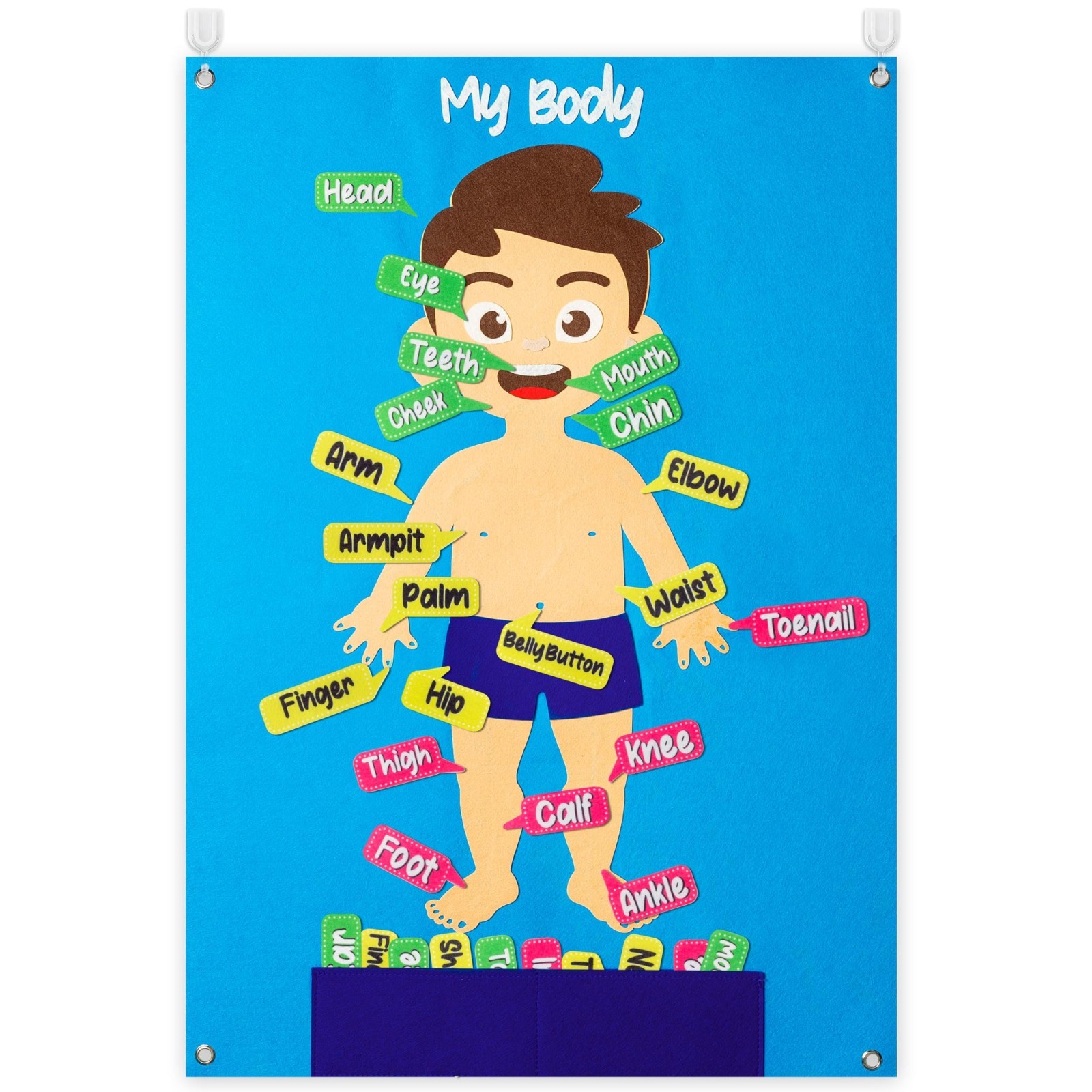 35Pcs Felt Body Parts Learning Set – Educational Storyboard for Kids, Interactiv