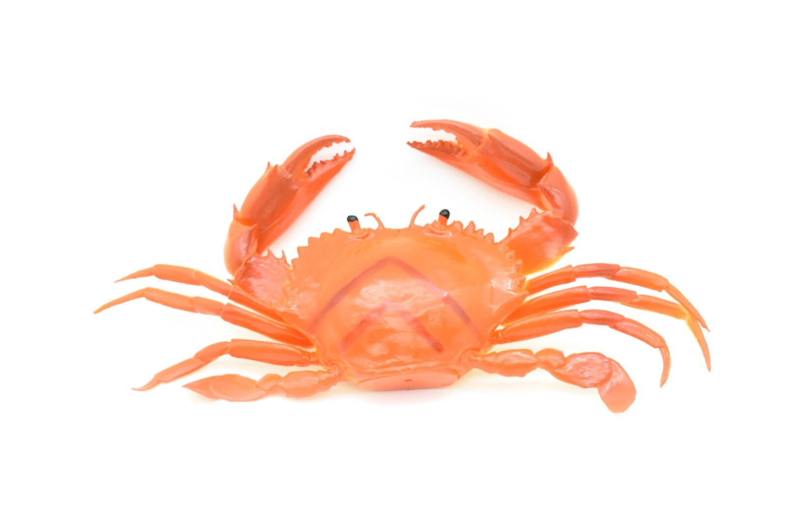 Crab orange and brown Very Nice Rubber Replica with squeak 8″ – F1680 B98
