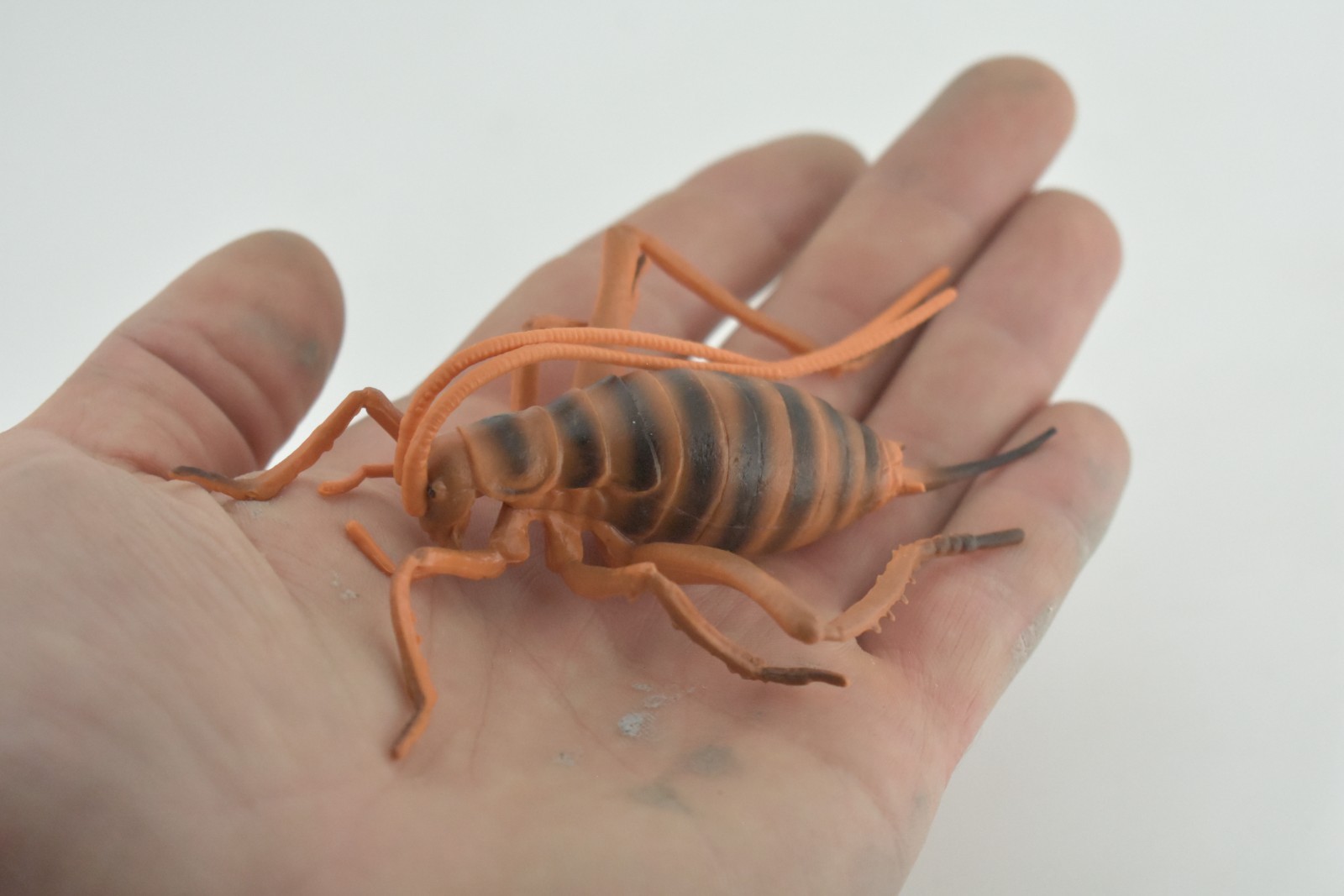 Cricket Toy, Hand Painted, Hard Rubber, High Quality, Realistic Bug, Gift CH1025