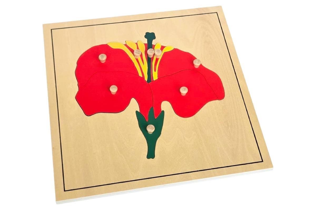 Flower Puzzle – MONTESSORI BIOLOGY / BOTANY MATERIALS