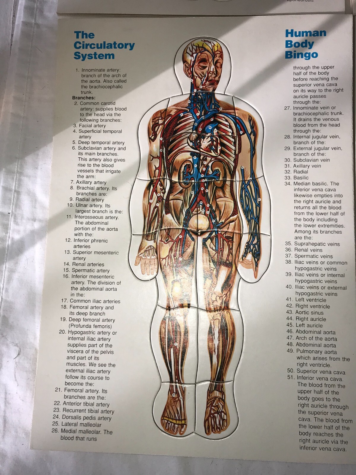 Vintage SAFARI LTD 9590-12 HUMAN BODY BINGO Puzzle & Game ANATOMY Complete w BOX