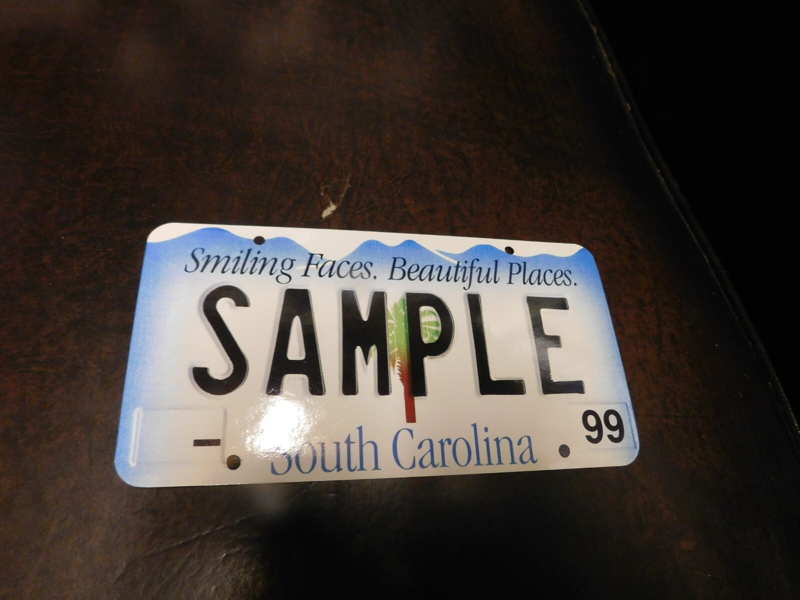 Flash Card Miniature Glossy Paper License Plate ’01 Series Sample South Carolina