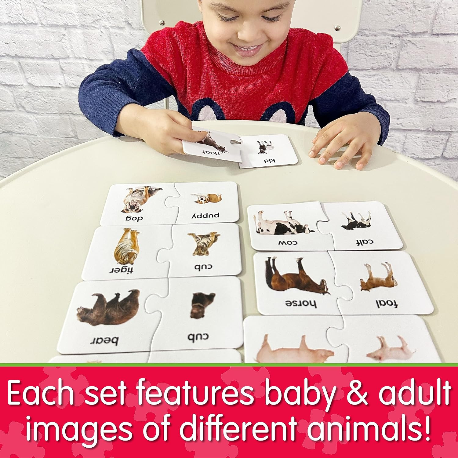 : Match It! – Animal Families – Learning Animals, Animal Matching Game, Animal P
