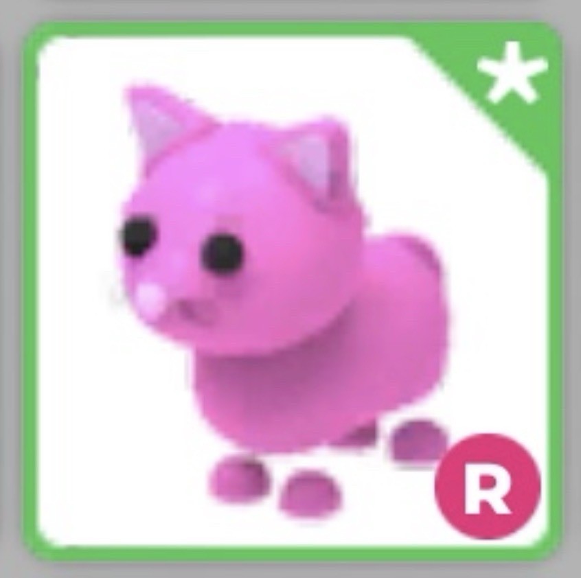 Ride R Pink Cat ❤️ Cheap