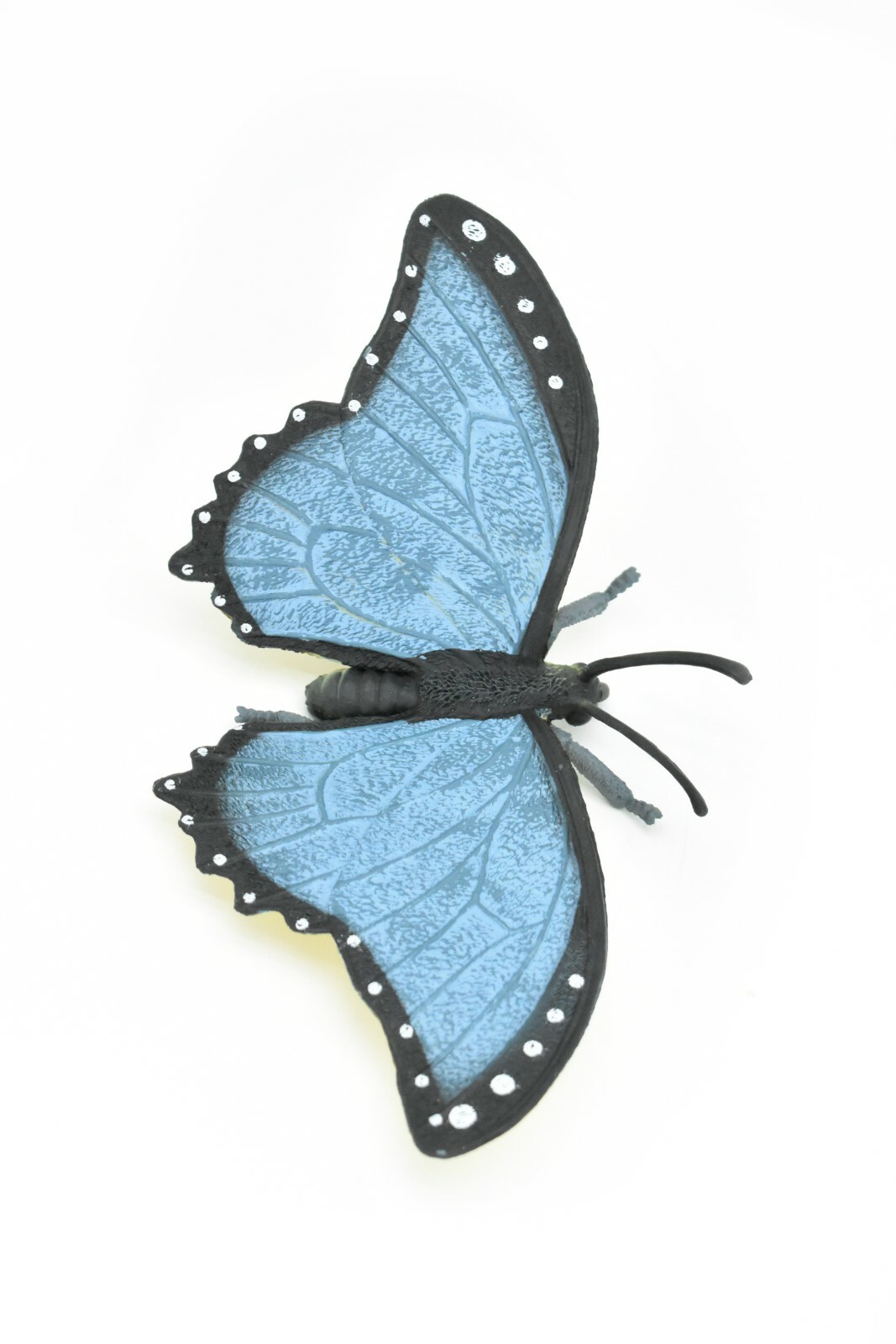 Butterfly, Blue Morpho, Realistic Very Nice Rubber Replica 8″ CWG86 B153