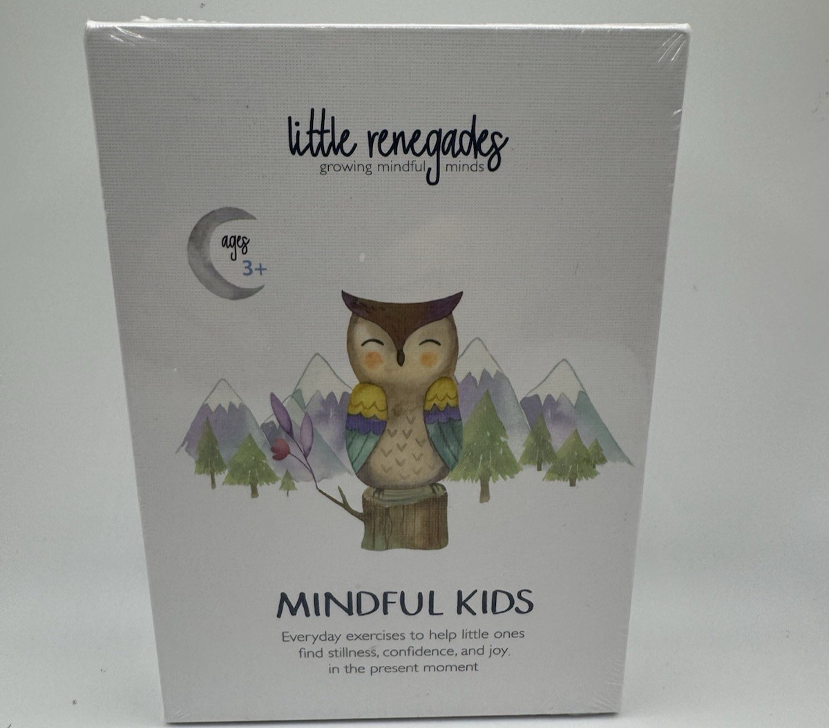 Little Renegades Mindful Kids Cards Ages 3+ Daily Exercises of Mindfulness New