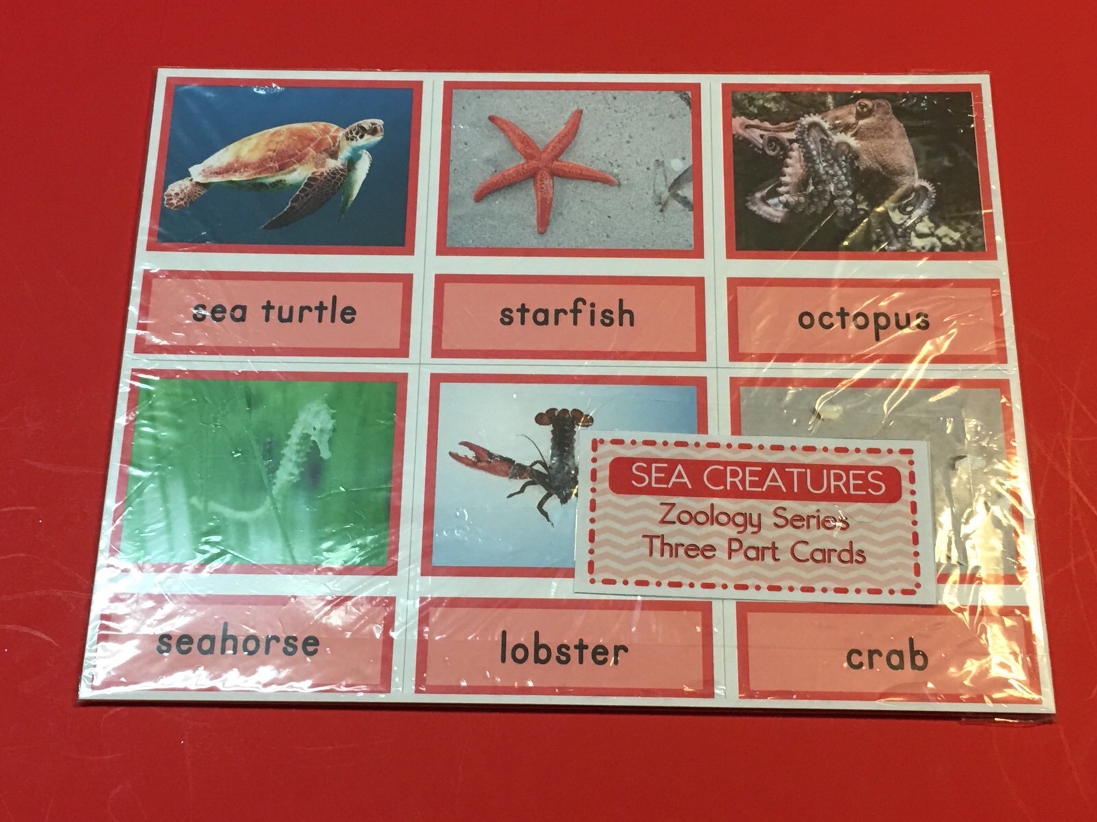 Sea Creatures- Zoology Series – Montessori 3 Three Part Card – (PRINTED) DIY
