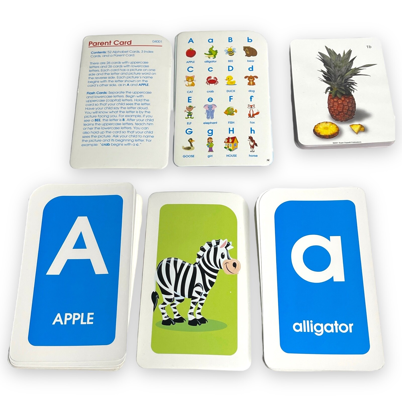 FLASH CARD HOMESCHOOL WEBBER GOLDEN SCHOLAR PHOTO EDUCATIONAL LEARNING