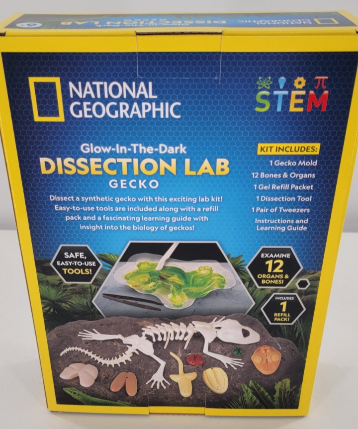Blue Marble National Geographic Glow-in-the-Dark Gecko Dissection Lab