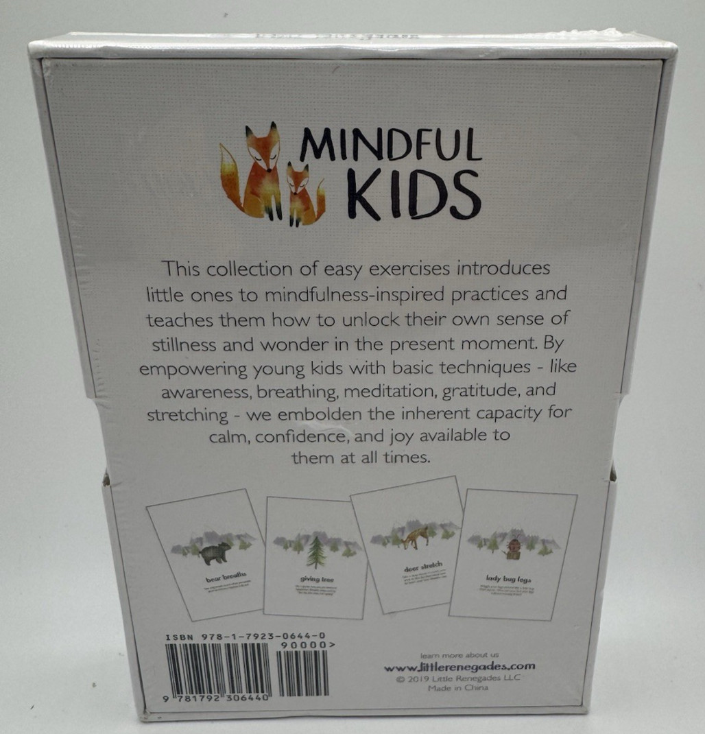 Little Renegades Mindful Kids Cards Ages 3+ Daily Exercises of Mindfulness New