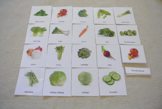 Montessori Common Vegetables 3 Parts Cards