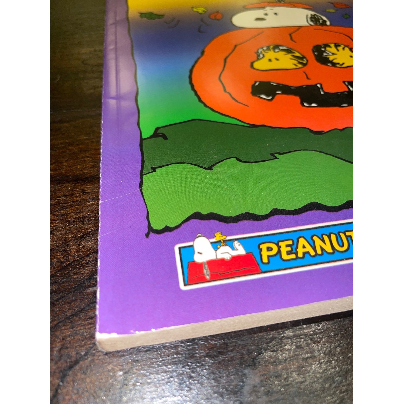 Peanuts Halloween Fun Coloring Activity Book Snoopy Pumpkin Fall