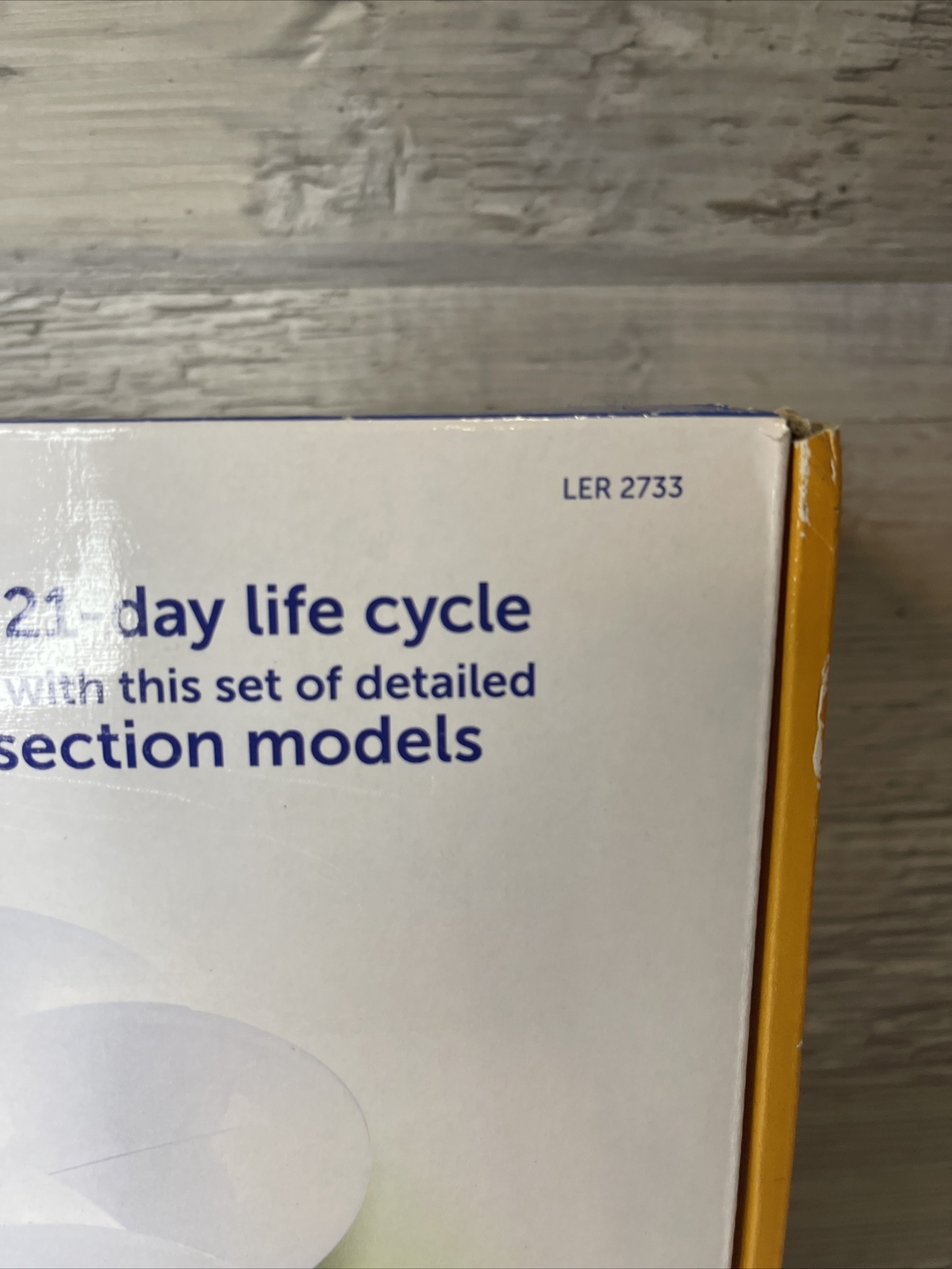 Chick Life Cycle Exploration Set Learning Resources 2733 – *Missing Chick*