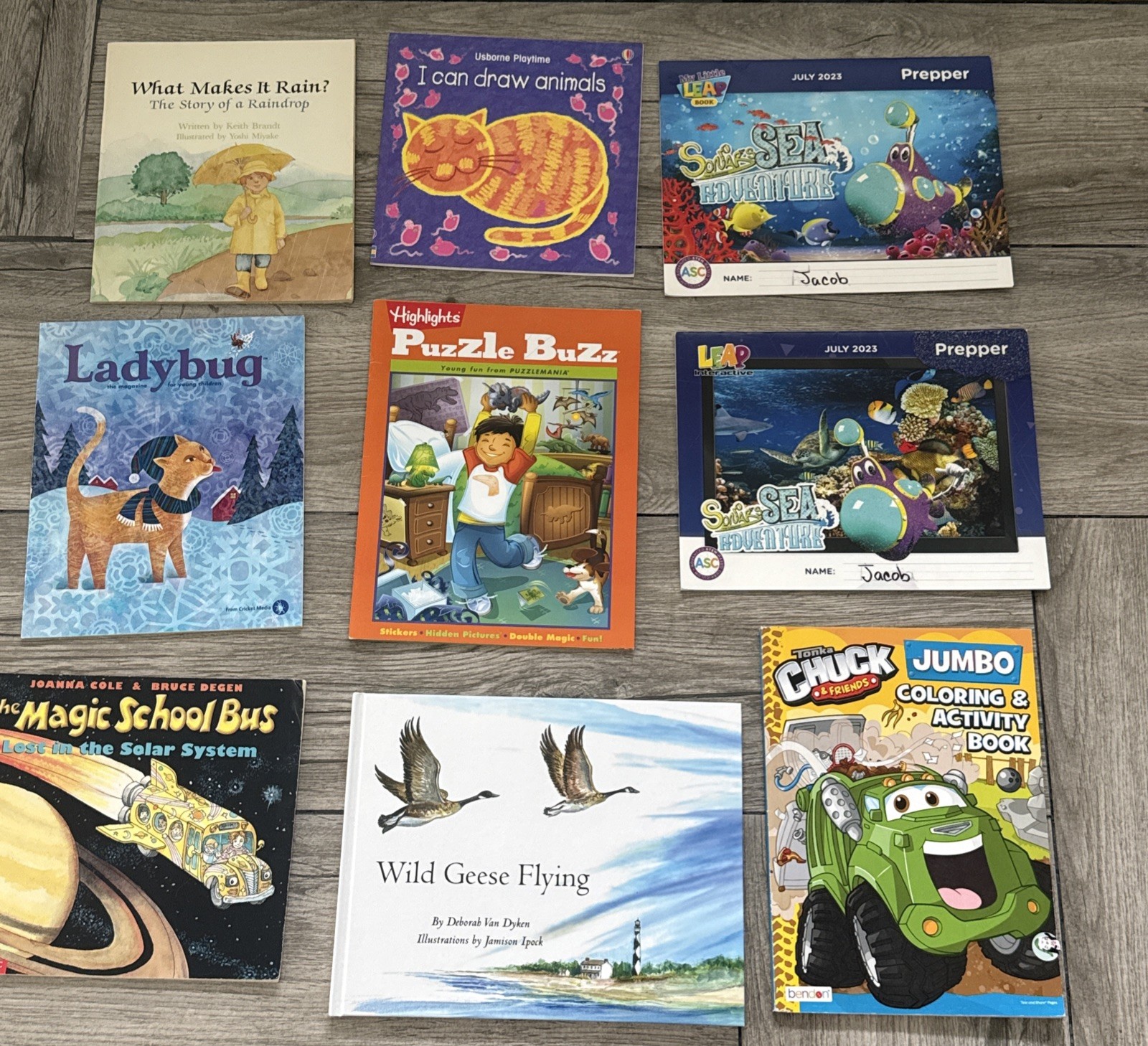 9 Educational Books Highlights Puzzle Buzz I Can Draw Animals Little Leap Book