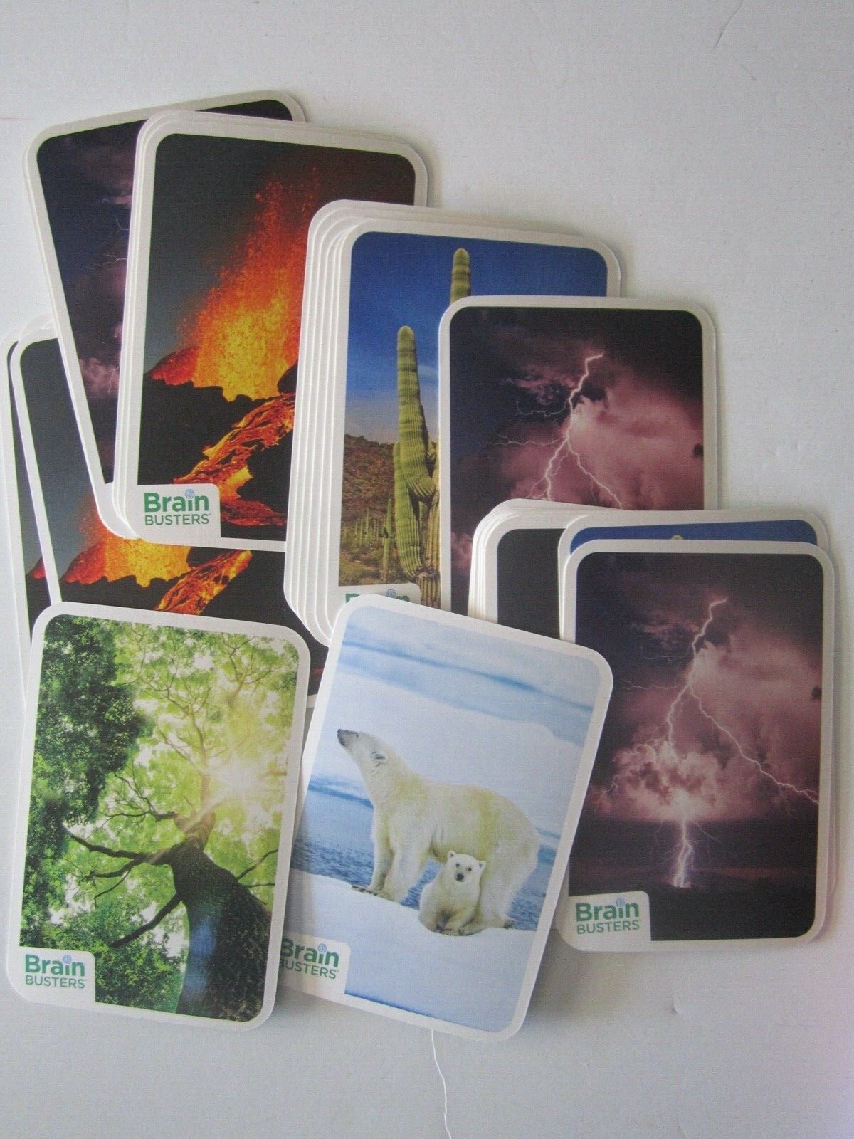 Brain Busters Gaming Cards – 31 Cards Each – Pets, Nature, Dinosaurs New!