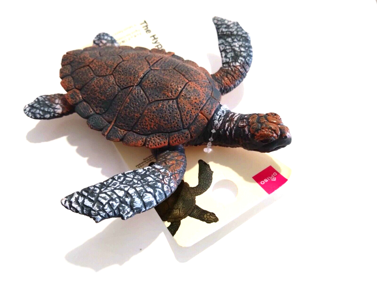 Figures (sea creatures), sea turtles, Daiso, PVC real figures, The Hyper Sealife