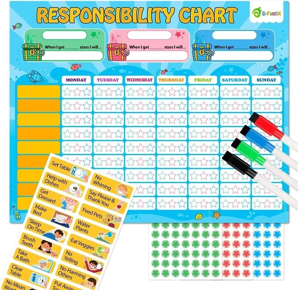 Magnetic Responsibility & Chore Chart for Kids