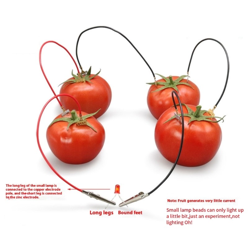 Interactive Fruit Powered Electricity Experiment Set for Kids Teen Student 7 ＋