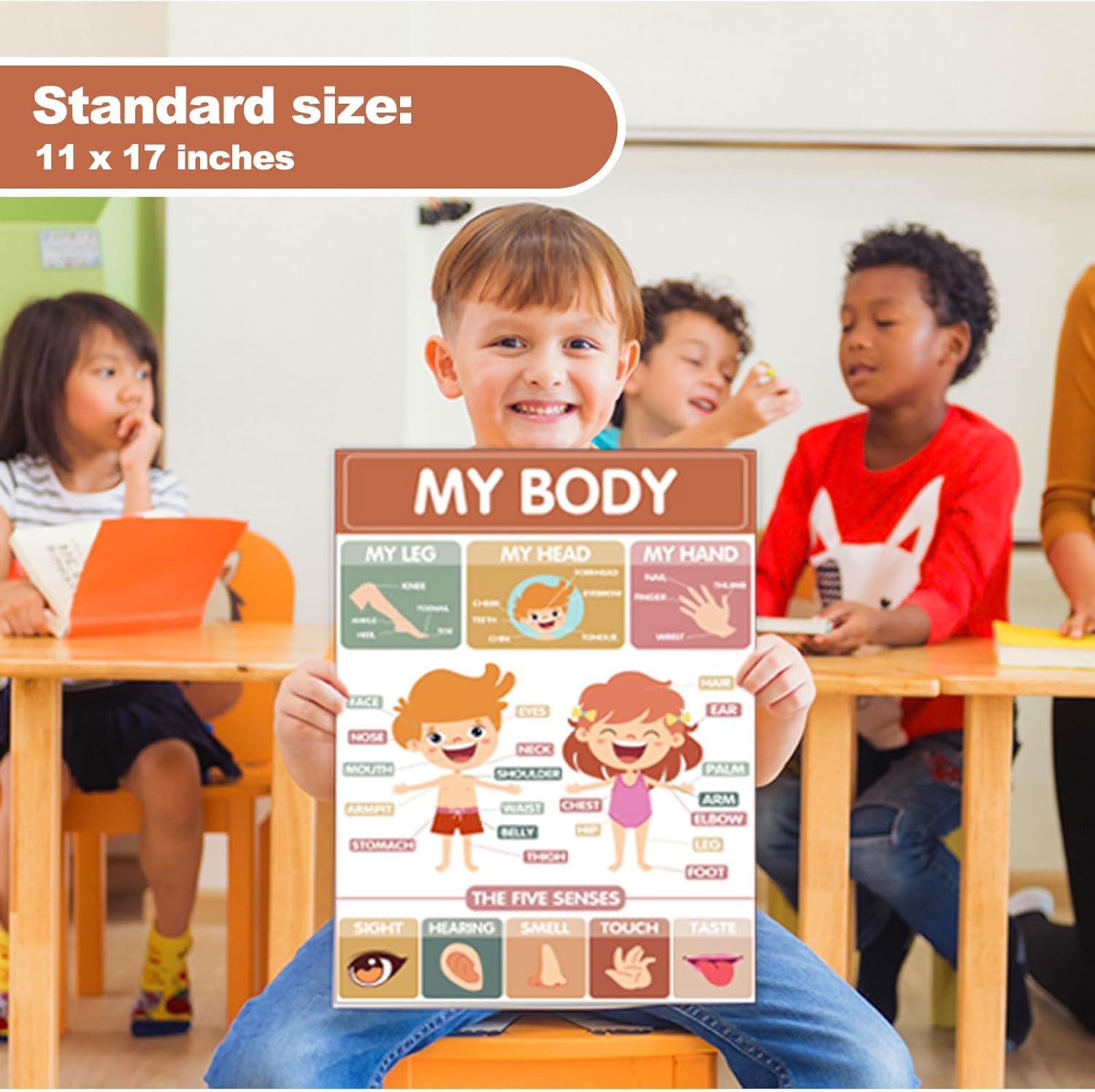Toddler Learning Posters -18 Boho Educational Posters for Toddlers 1-5