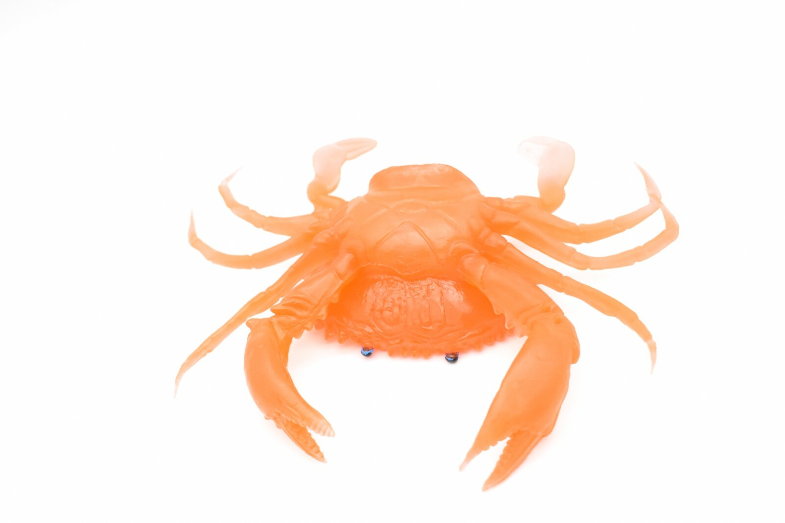Orange Crab, With Squeak, Very Nice Rubber Replica 7″ F1764 B188
