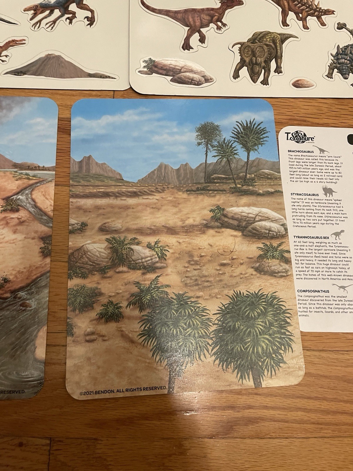 T.S Shure Magnetic Tins Dinosaurs New 25 Illustrated Magnets