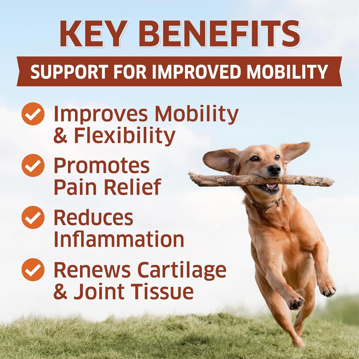 Hemp Hip and Joint Supplement for Dogs – Glucosamine for Dogs – Glucosamine