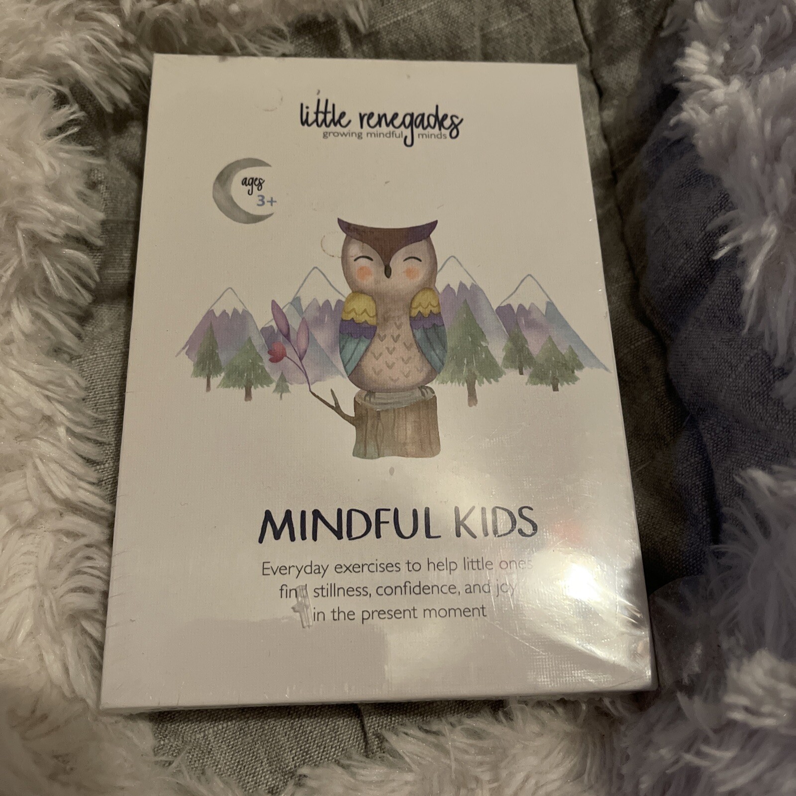 NEW Little Renegades Mindful Kids Cards: Everyday Exercises for Confidence & Joy