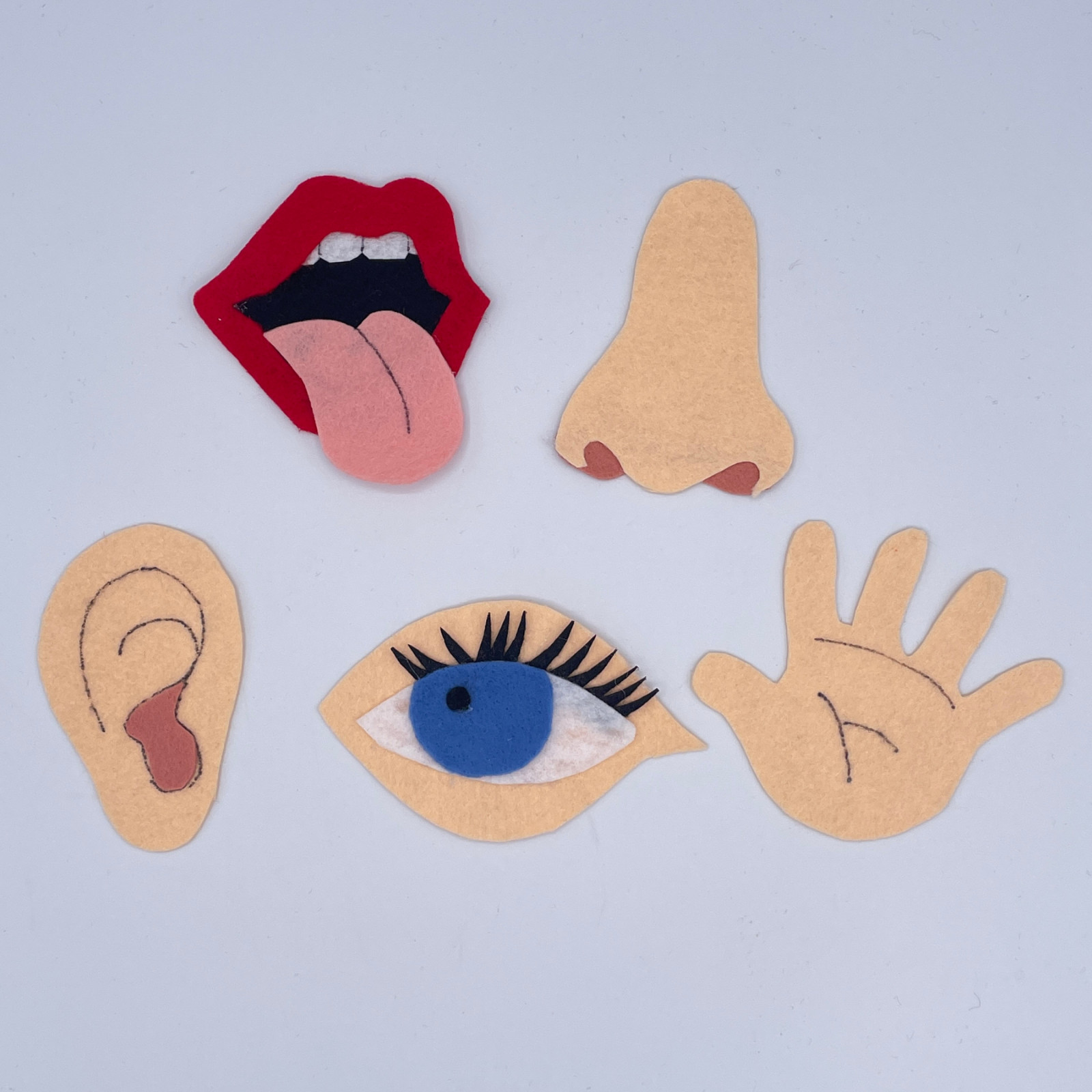 My Five Senses Felt Story Set for Felt or Flannel Board Play