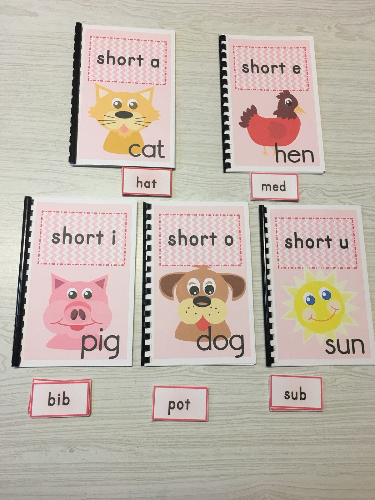 Interactive Learning Books for Children – Short Vowel Set w/60 Laminated Cards