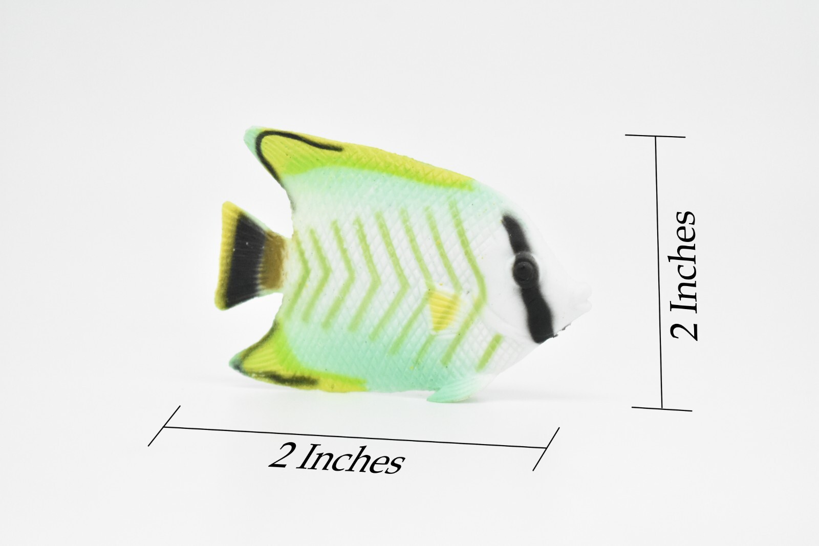 AngelFish Toy, Tropical Fish, Realistic Plastic Replica Gift 2″ CWG272 B46