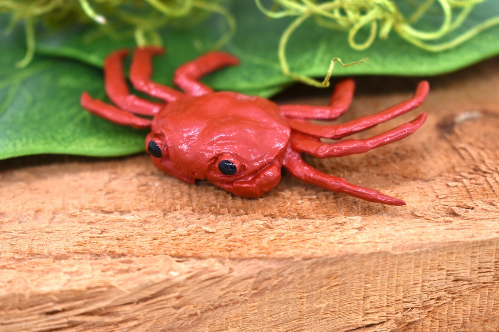 Crab Sally Lightfoot, Galapagos Islands, Plastic Replica 2″ F1591 B150