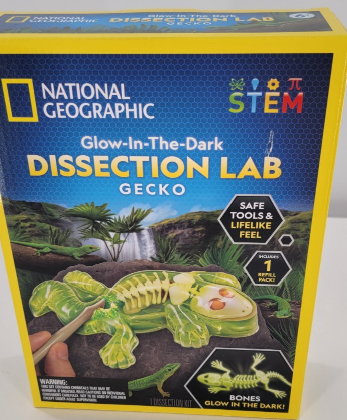 Blue Marble National Geographic Glow-in-the-Dark Gecko Dissection Lab