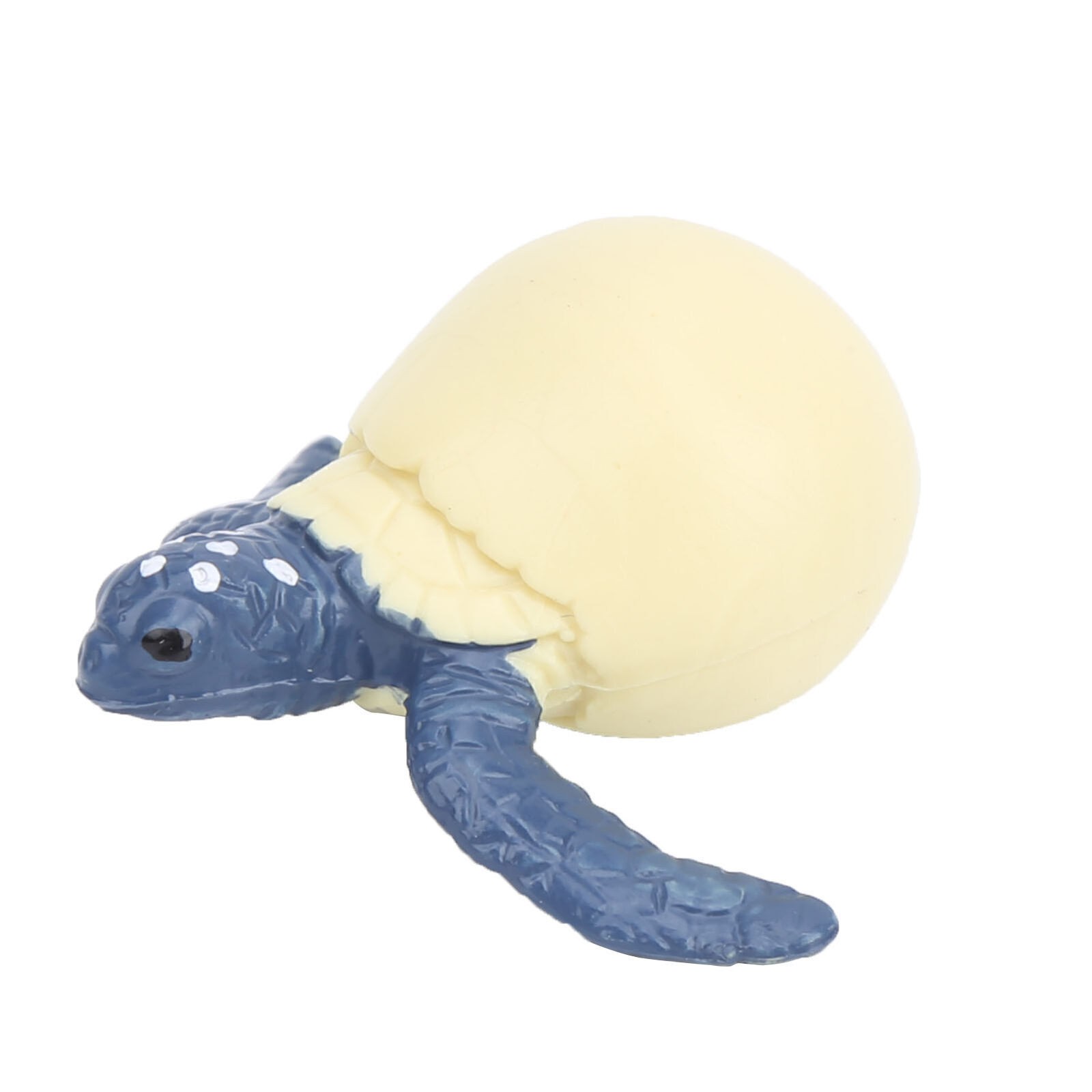 The Simulation Animal Model Sea Life Animals Life Cycle Cognitive Model