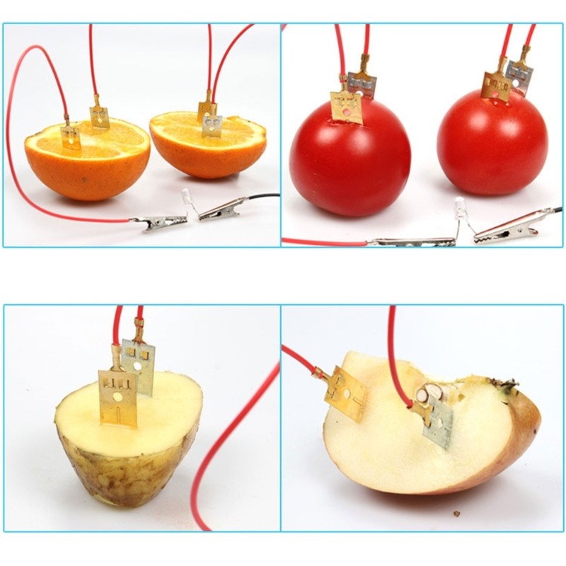 Interactive Fruit Powered Electricity Experiment Set for Kids Teen Student 7 ＋