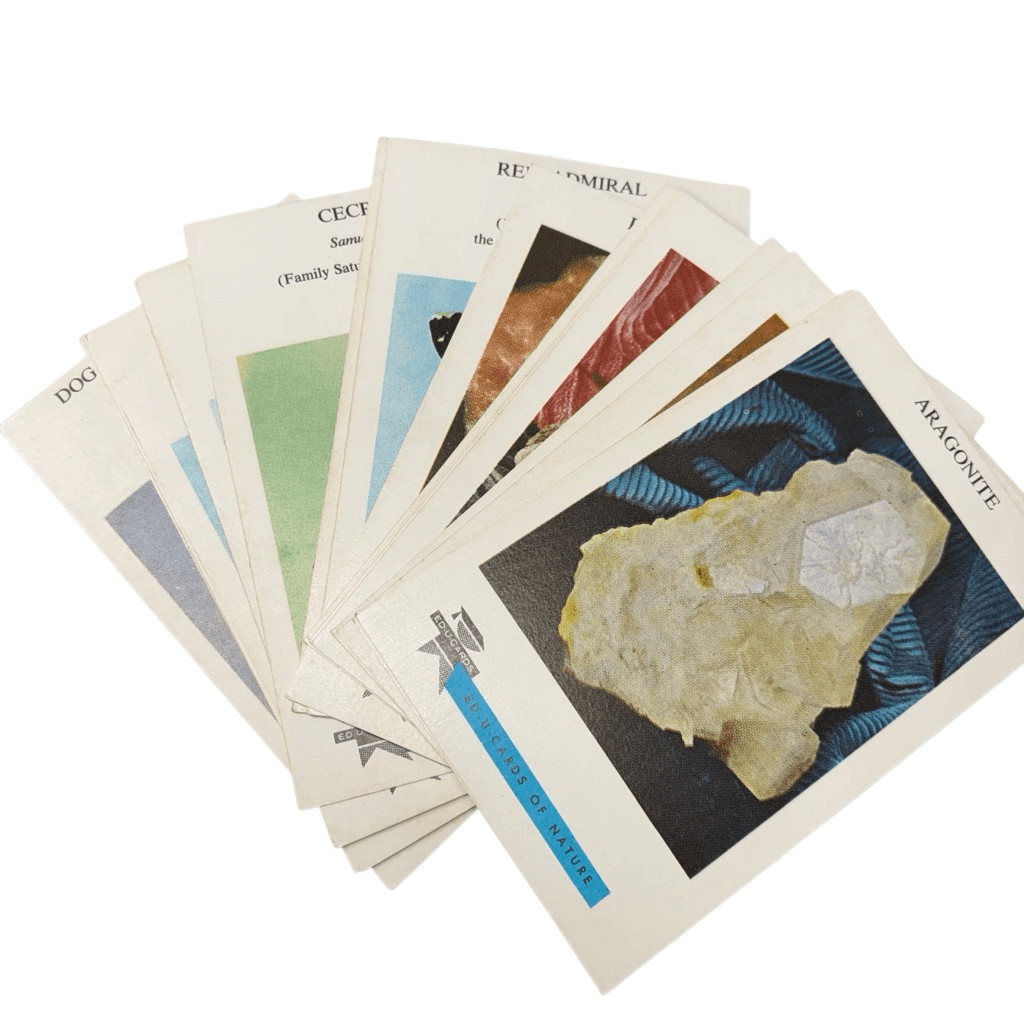 2 Duojector Ed-U-Cards Sets Of Viewer Cards *Read*