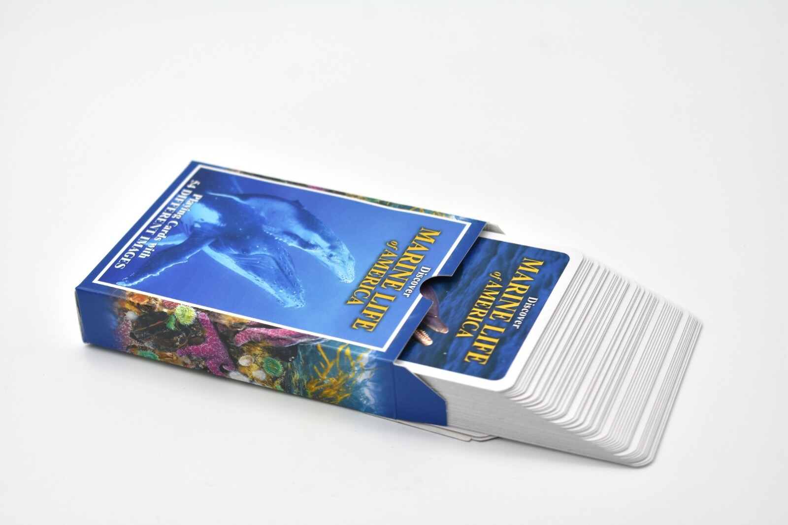 Marine Life of America, New Deck of Animal Themed Playing Cards 3 1/2″ SSA121