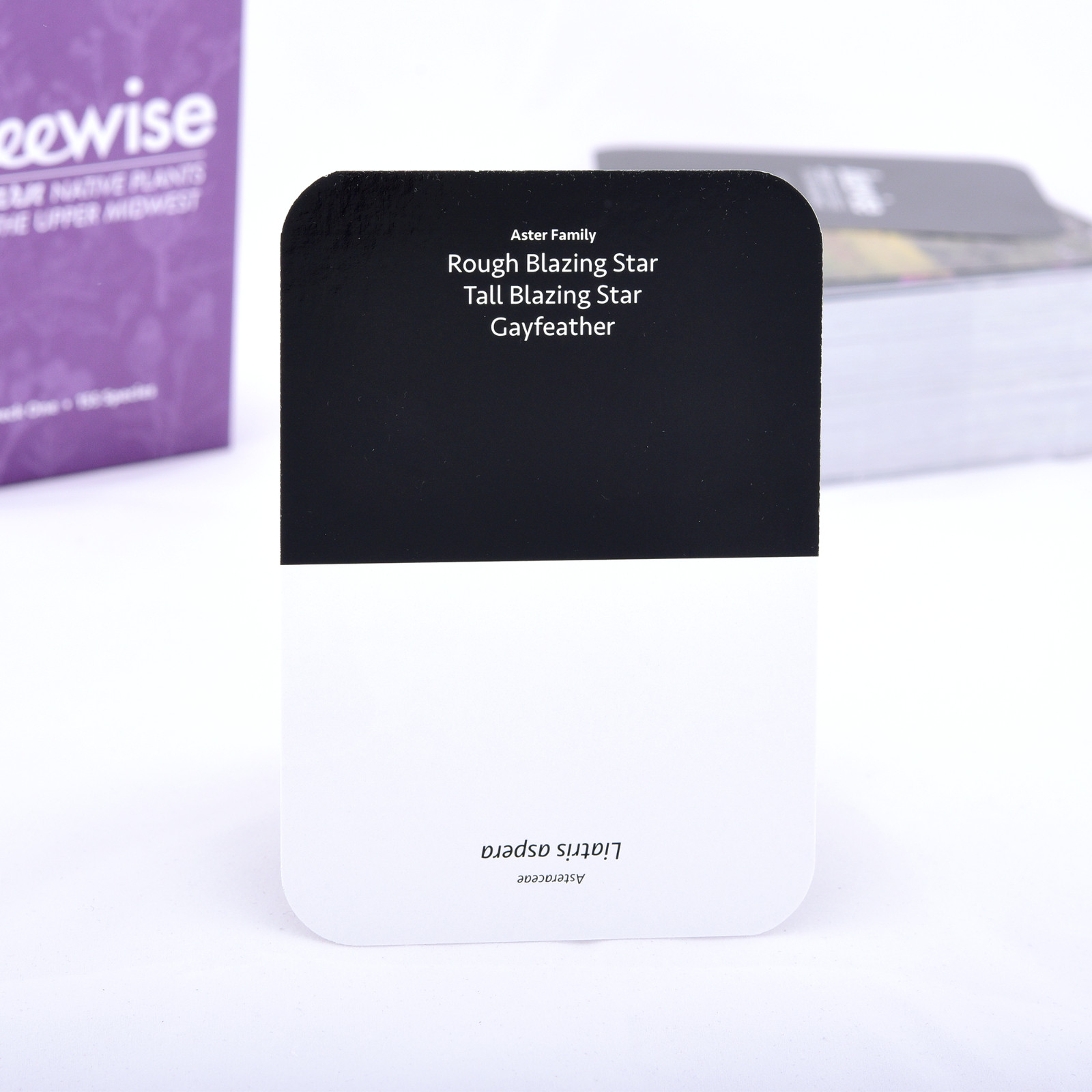 Learn Native Plants of the Upper Midwest, 155 species, flash cards