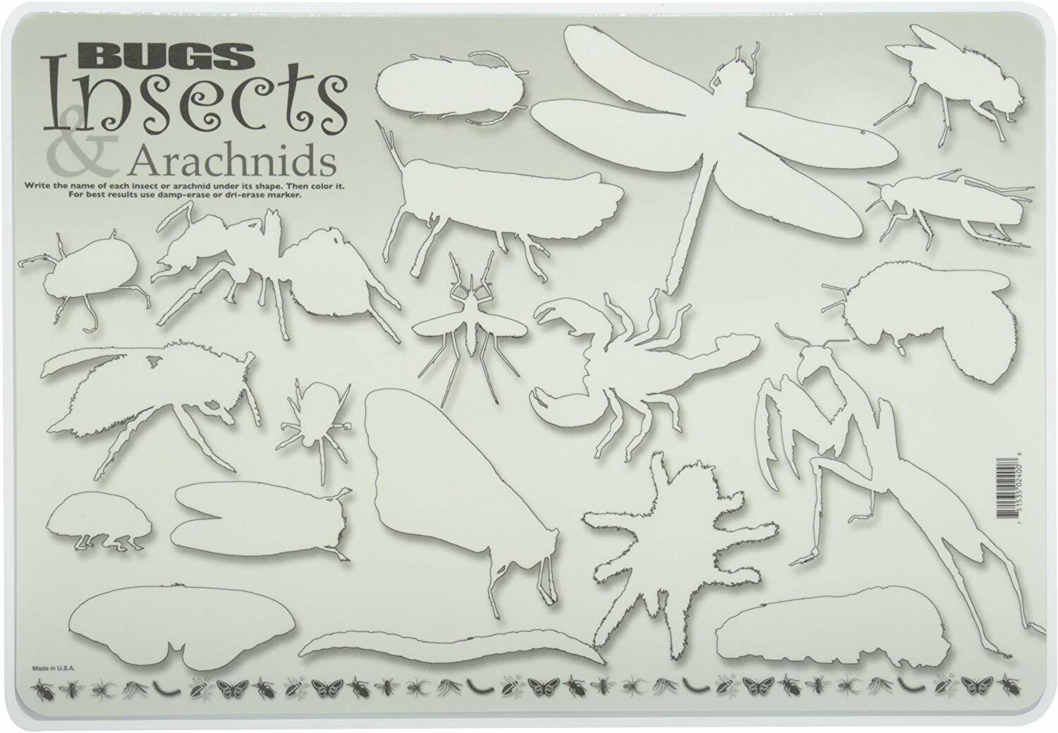 NEW Painless Learning Bugs, Insects and Arachnids Two Sided Educational Placemat