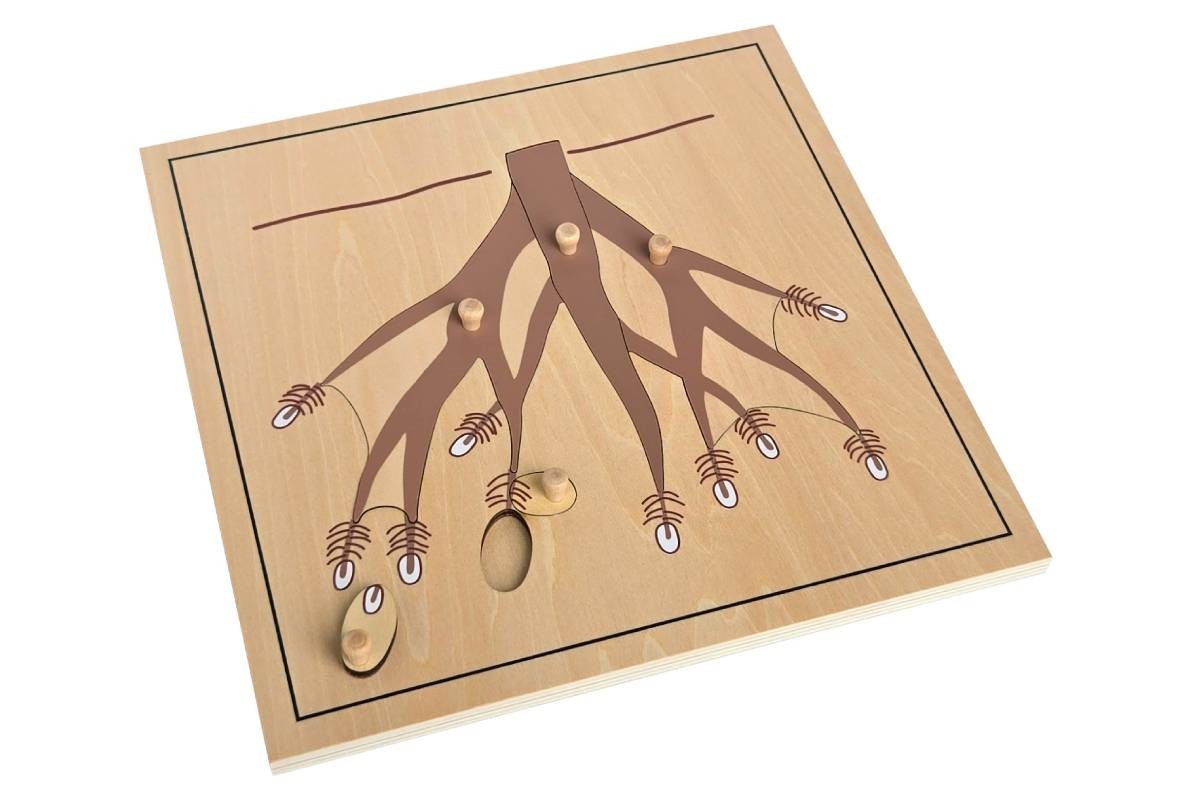Root Puzzle – MONTESSORI BIOLOGY / BOTANY MATERIALS