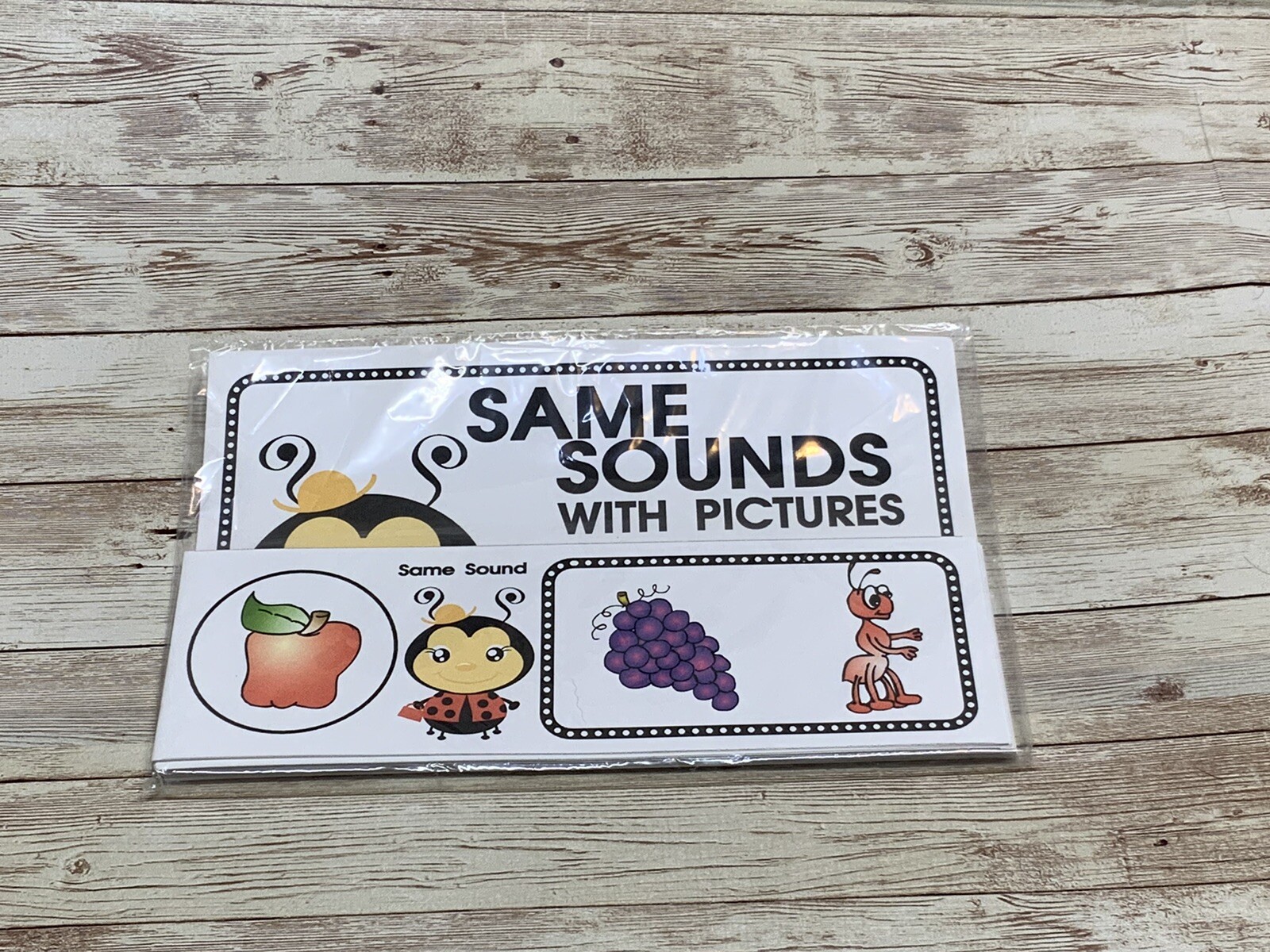 Lady Bug – Themed Learning Centers – Laminated – Same Sound With Pictures
