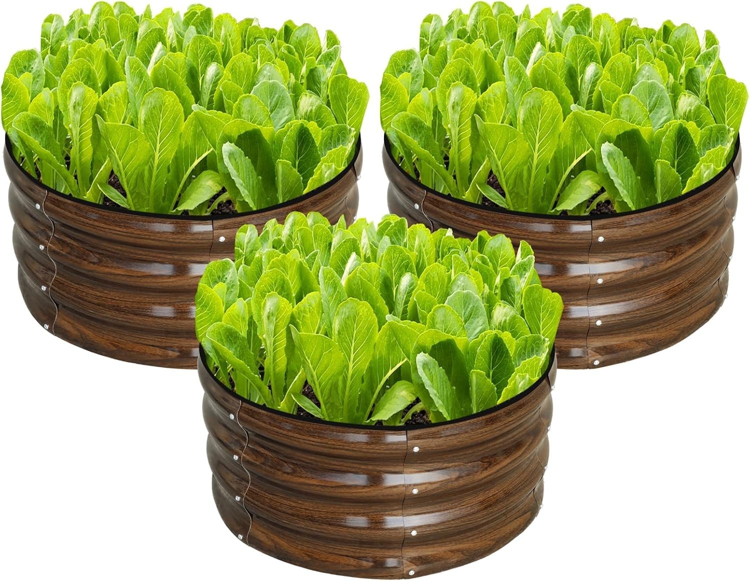 3 Pcs 2x2x1ft Round Galvanized Raised Garden Bed Kit Outdoor Metal Planter Box