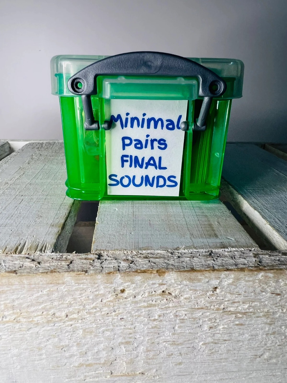 Say and Play Final Consonant Deletion Mini Objects Kit Minimal Pairs