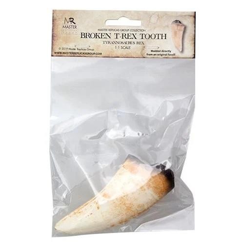 T-Rex Broken Tooth Educational Series Fossil Replica