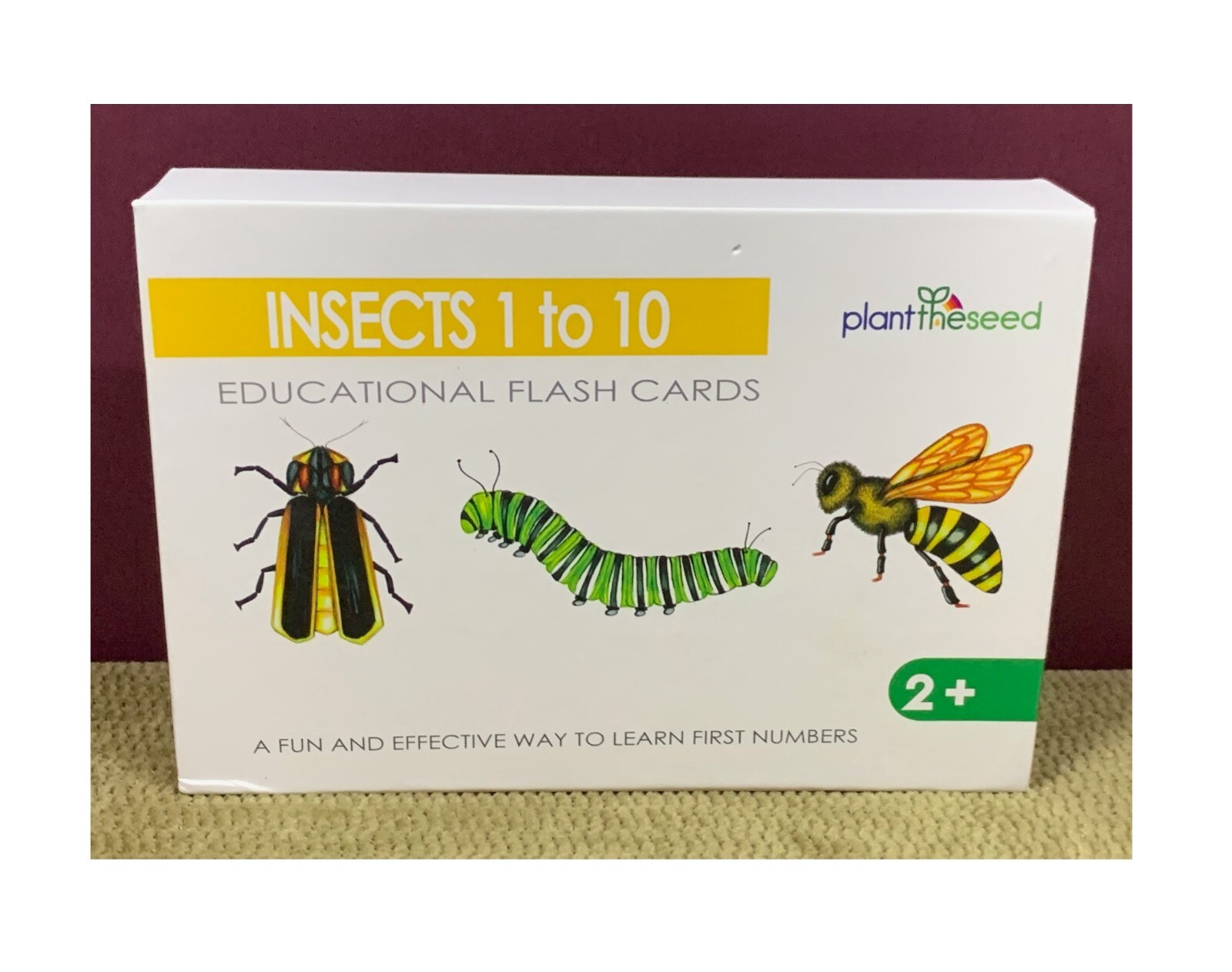 THICK EDUCATIONAL FLASH CARDS COUNTING 1 – 10 & LEARNING INSECTS AS YOU GO ALONG