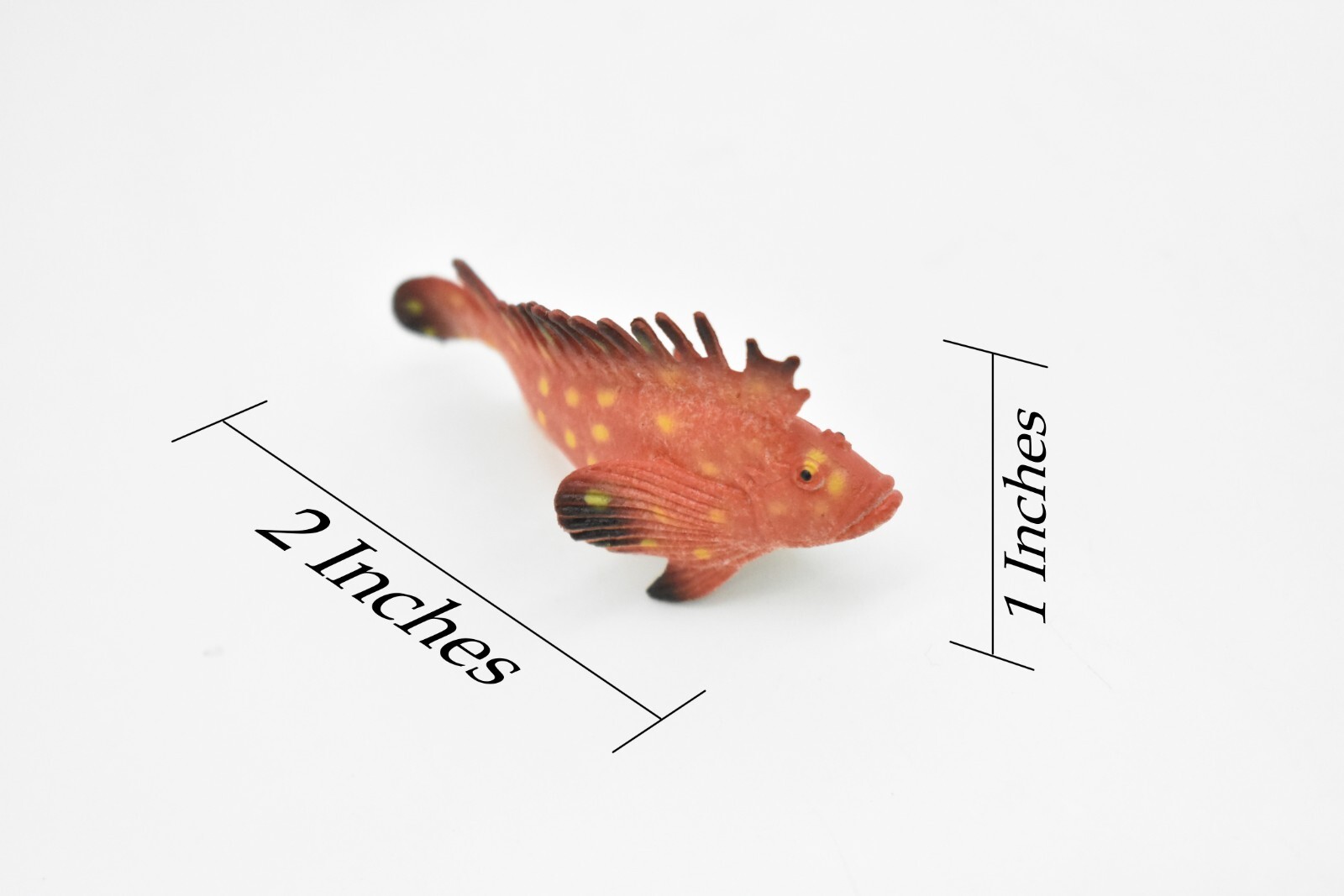 Spotted Kelpfish, Tropical Fish, Ocean, Plastic, Realistic Figure, CWG271B46