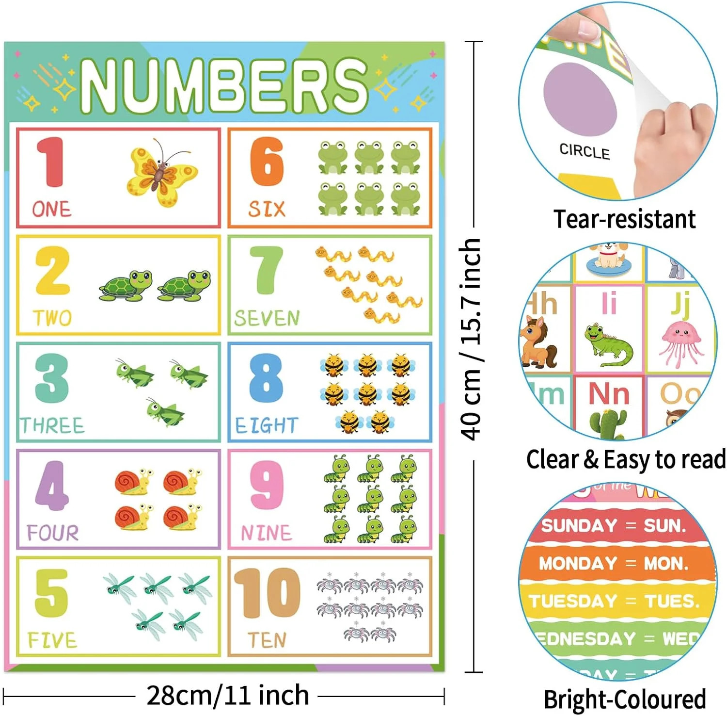 Classroom Educational Posters- Colourful Educational Learning Posters For Toddle