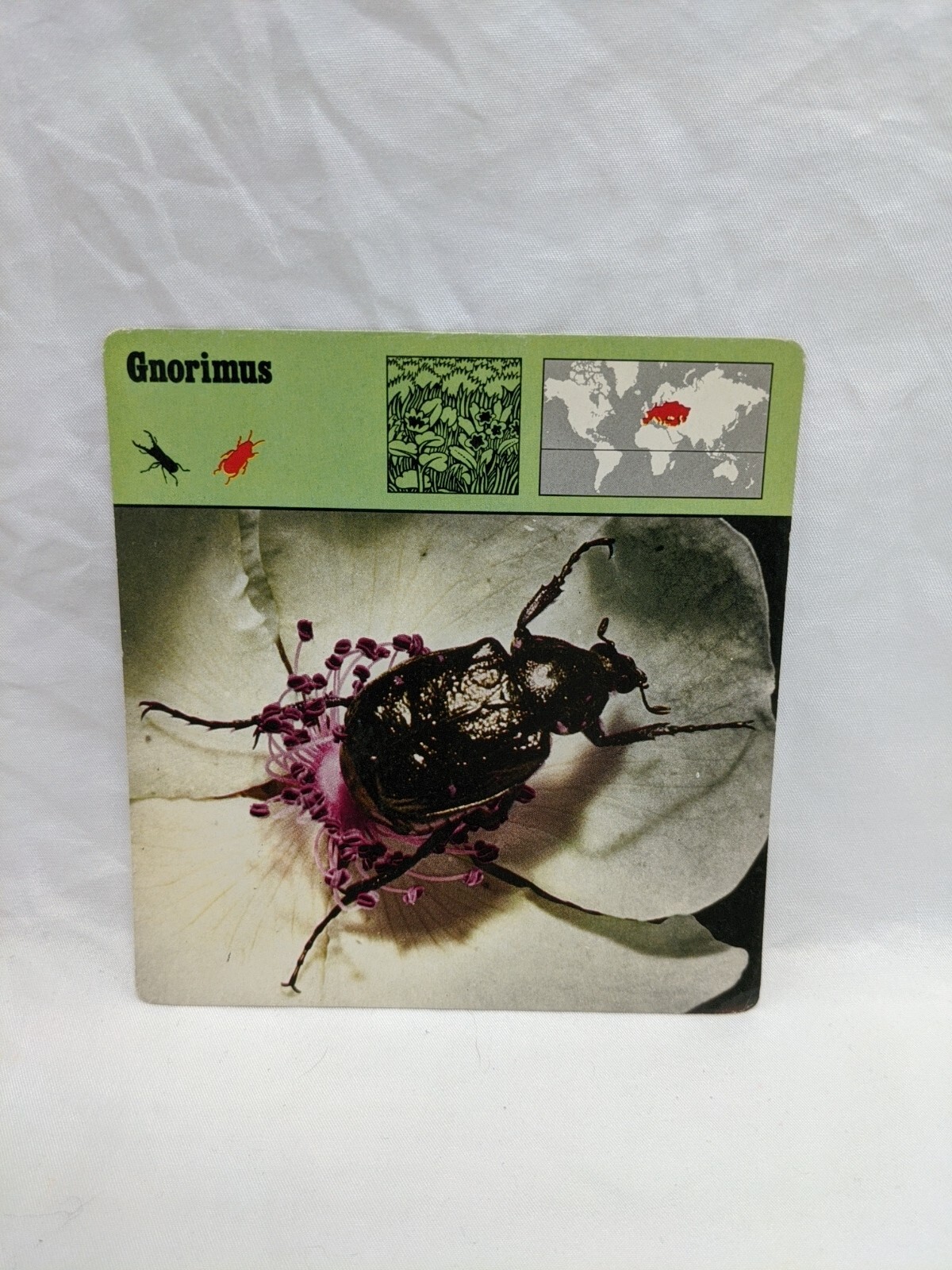 Lot Of (21) 1975 Rencontre Arthropods IV Education Cards