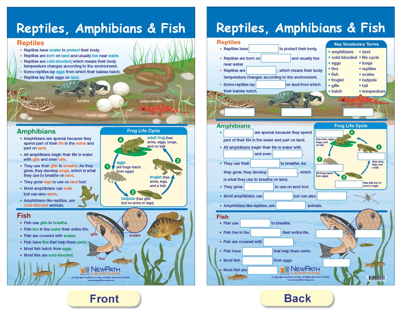 -94-1501 All about Animals Bulletin Board Chart Set (Pack of 5)